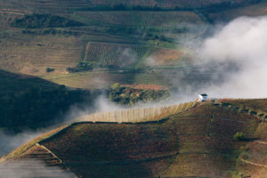 Poster Portugal Douro Valley Autumn 3