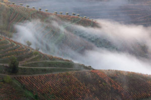 Poster Portugal Douro Valley Autumn 2